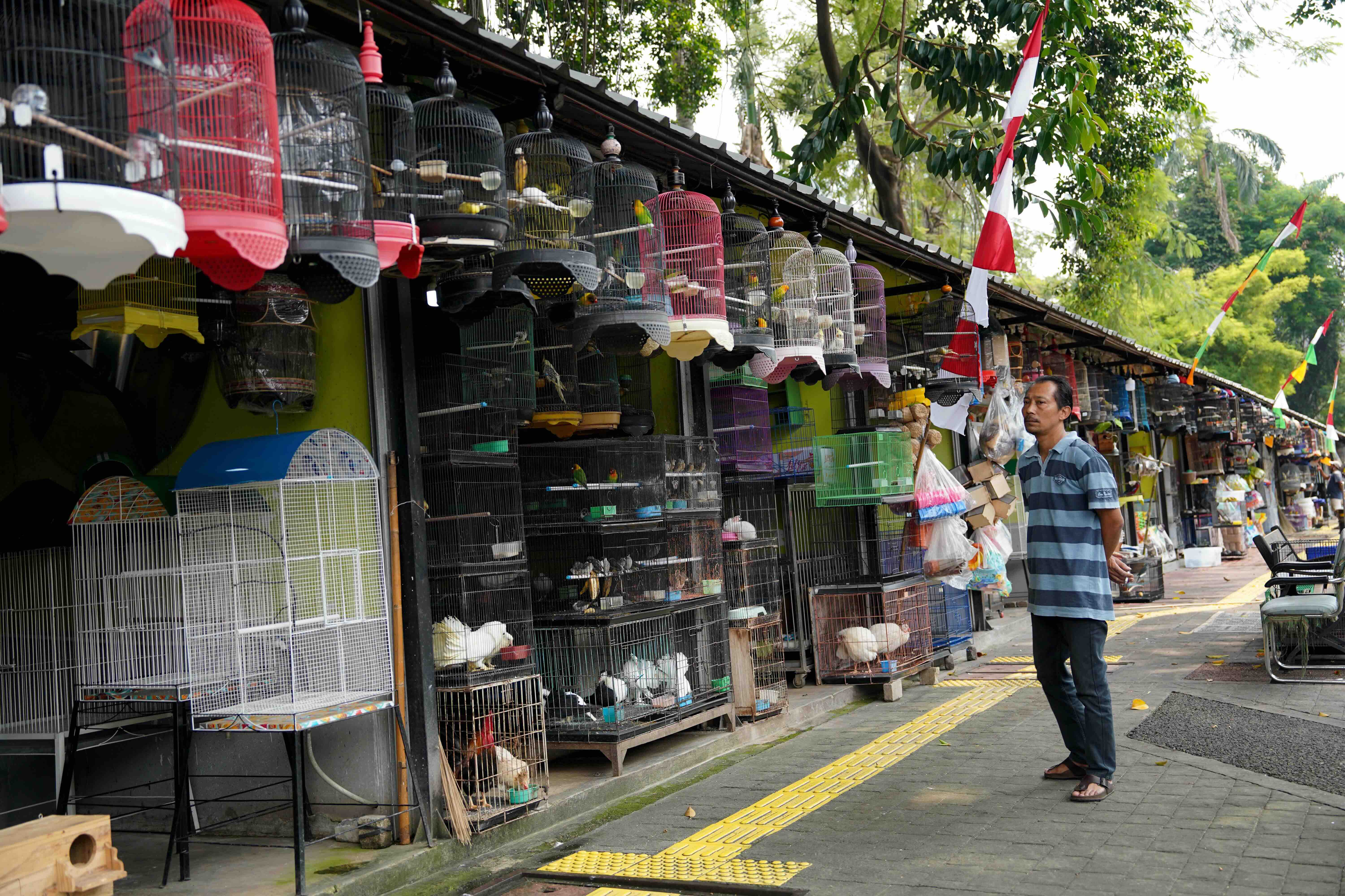 Relokasi Pasar Hewan Barito, Pemprov Siapkan Lokasi Permanen